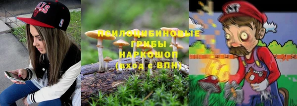 герыч Бронницы