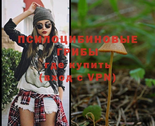 мескалин Богданович